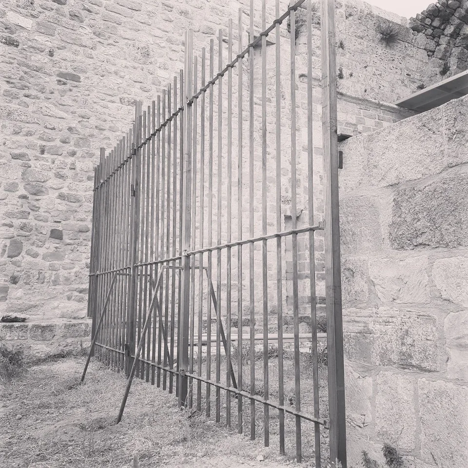 Grille de protection avec traverses à trous renflés